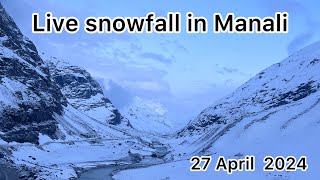 Live snow fall in manali // 27 April 2024 //