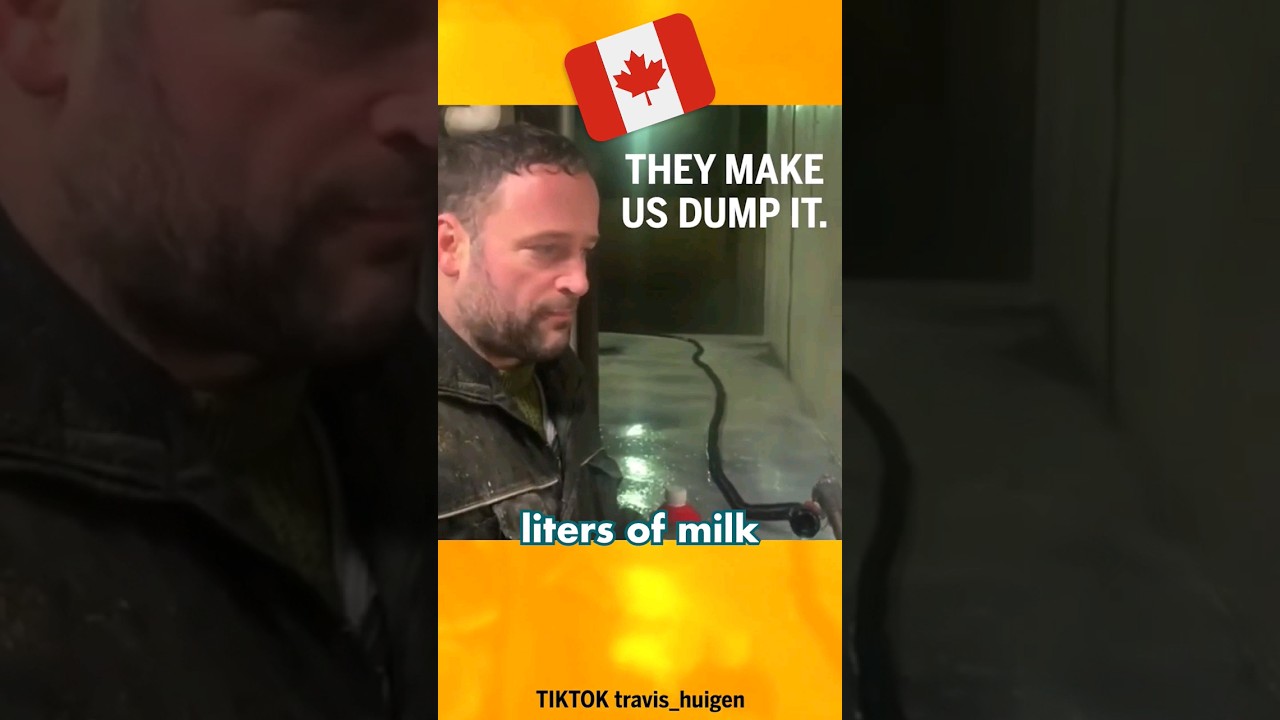The Government Is Making Farmers Throw Away Milk 