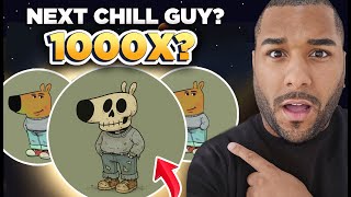 I Just Found The Next 1000X? Chill Guy?