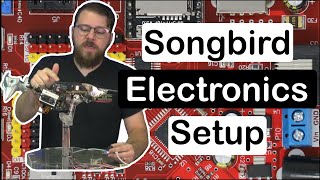 Tutorial - Songbird Electronics Setup
