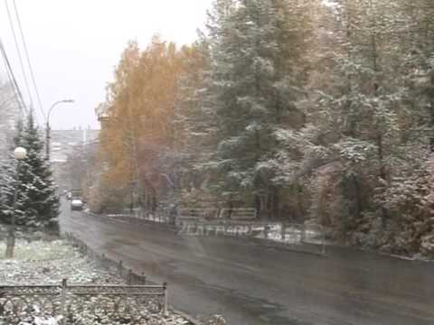 По сегодняшнему дню принято судить, какой будет зима, сколько выпадет снега