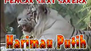 Sakerah Hari Mau Putih Orambak Romli