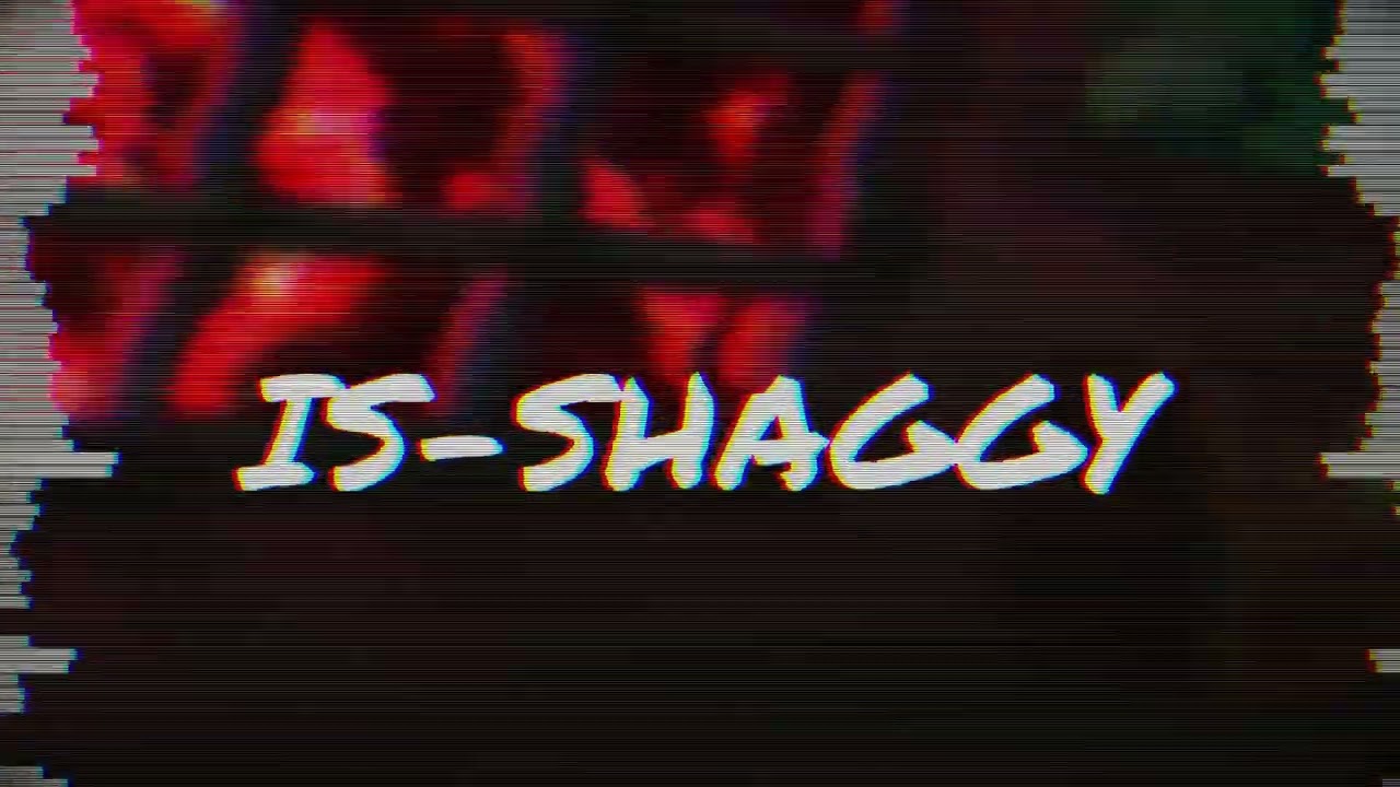 IS-SHAGGY - SUS_FR mix'd [late90SUBS]