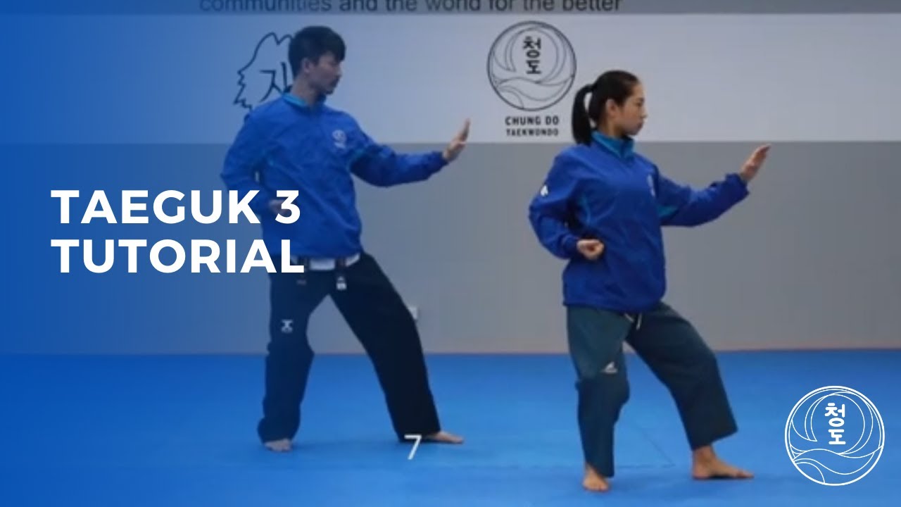 Taeguk 3 tutorial