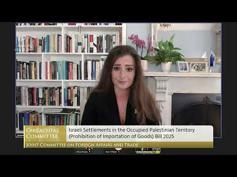 Natasha Hausdorff explains the risks for US companies if Irish boycott Bill is passed