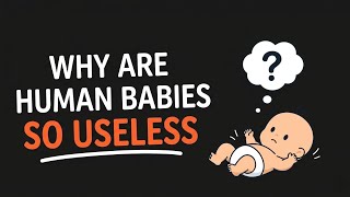Why Are Human Babies So Useless?