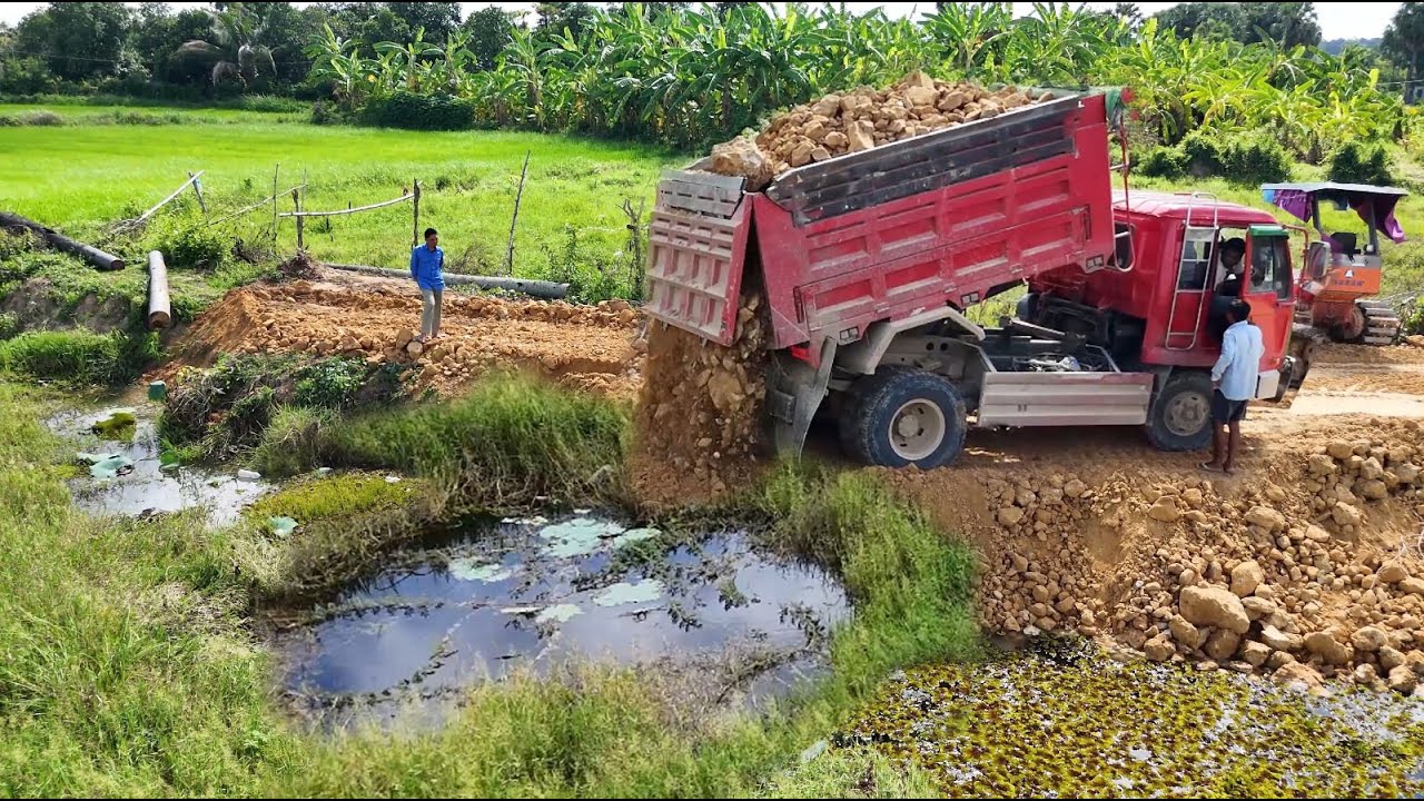 Wonderful Project!Road Continue Deep Huge Lake, Dump Truck 5Ton Filling land Bulldozer Pushing Soil
