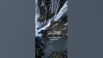 ان الله وملائكته يصلون على النبي |تلاوة هادئة خاشعة  مؤثرة مريحة للنفس |حالات واتس اب و انستا قرءان