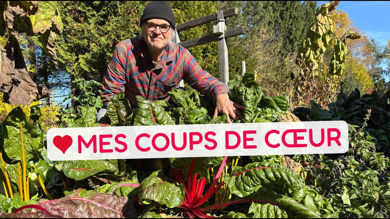Les 15 cultivars coups de cœur du semencier Yves Gagnon