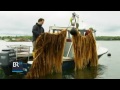 26882 Agriculture Cuisine BR Superfood Seetang BR Fernsehen 26882 Agriculture Cuisine BR Superfood Seetang BR Fernsehen