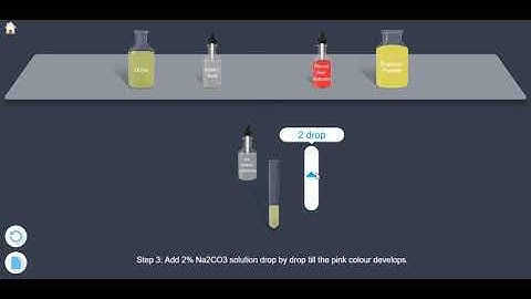 Urea - Urease test