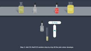 Urea - Urease test