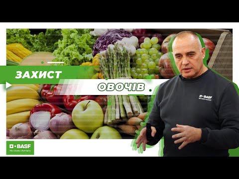 Захист томатів, баштанних