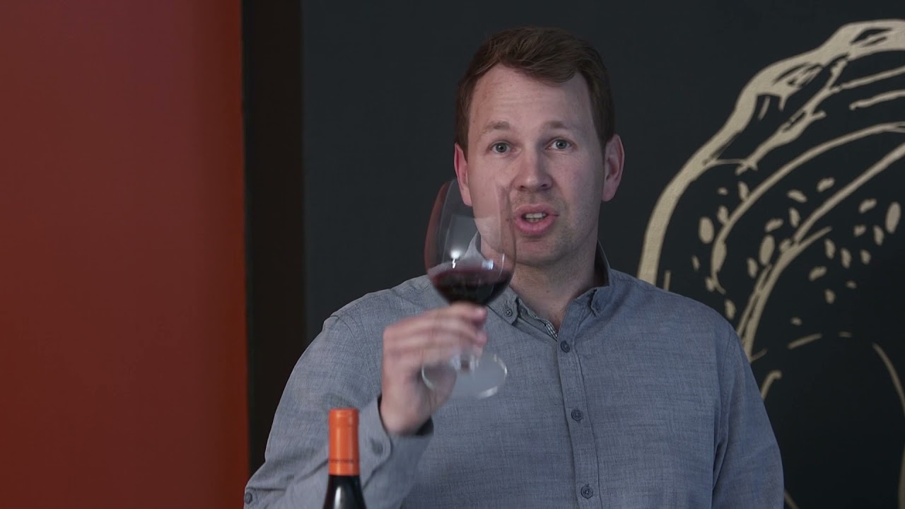 Survivor Tasting   Pinotage