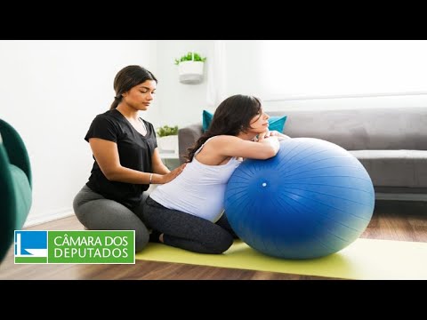 COMISSÃO DE DEFESA DOS DIREITOS DA MULHER