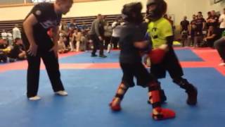 Colts fight part 4 (the wild man striketh)