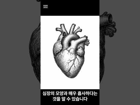 心(마음 심)