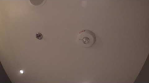 System Sensor L Series Ceiling Mount Strobe and L Series Horn Strobe in a seafood place