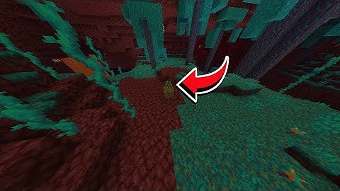 will the sapling grow in the nether.....