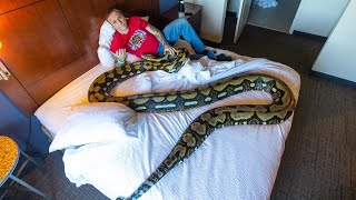 40 HOURS In HOTEL with COVID and GIANT SNAKE!!!