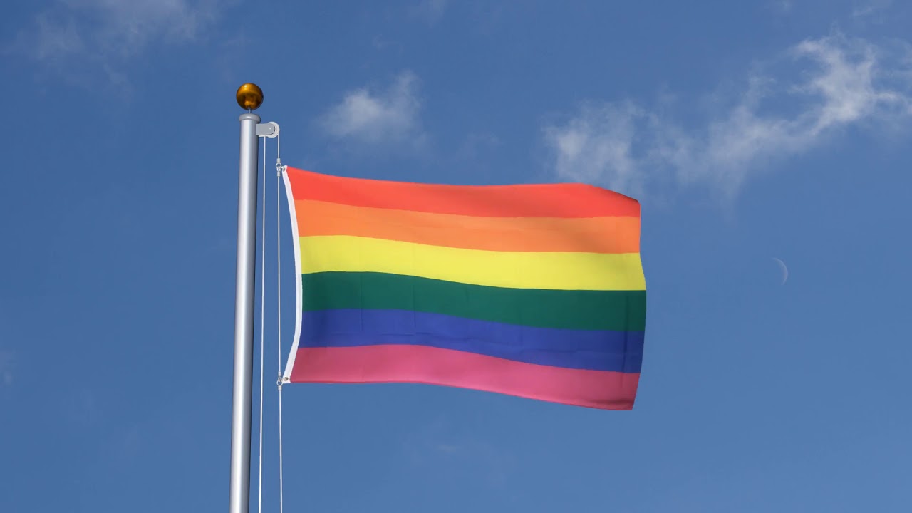 Drapeau Arc En Ciel, 5 Pièces Drapeaux Gays, Drapeaux Fierté Gays