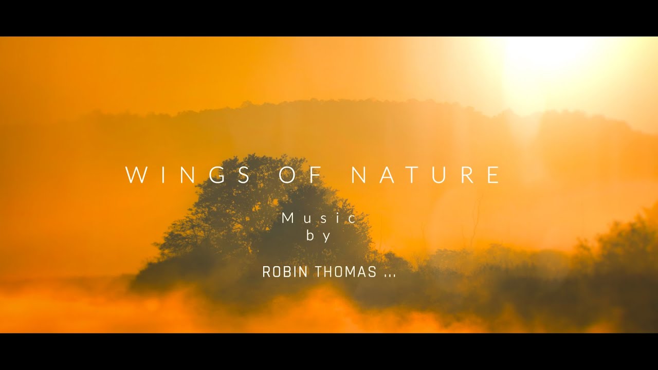 🆕beautiful Relaxing Music 🏼👉 Lockdown Music For Sleep ,Meditation Solution,Healing,Study.Top Video