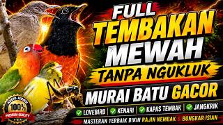 FULL TEMBAKAN MEWAH TANPA NGUKLUK Murai Batu Gacor Bongkar Isian Lovebird Kenari KATEM Jangkrik