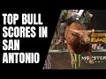 The Best Bulls in San Antonio