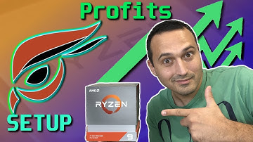 Raptoreum : Setup + Profits