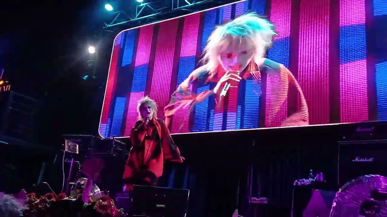 Közi en Chile 2025 - Honey Vanity