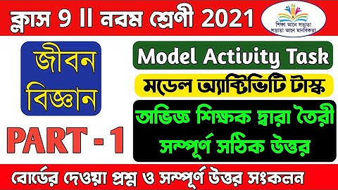 Model activity task class 9/life science prat 1/Class 9 life science model activity task part 1