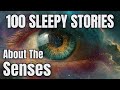 A Journey Through Your Senses: The Most Relaxing Story to Fall Asleep To | Science For Sleep