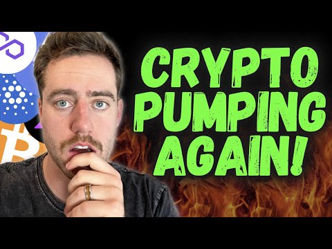 Bitcoin PUMPING Back
