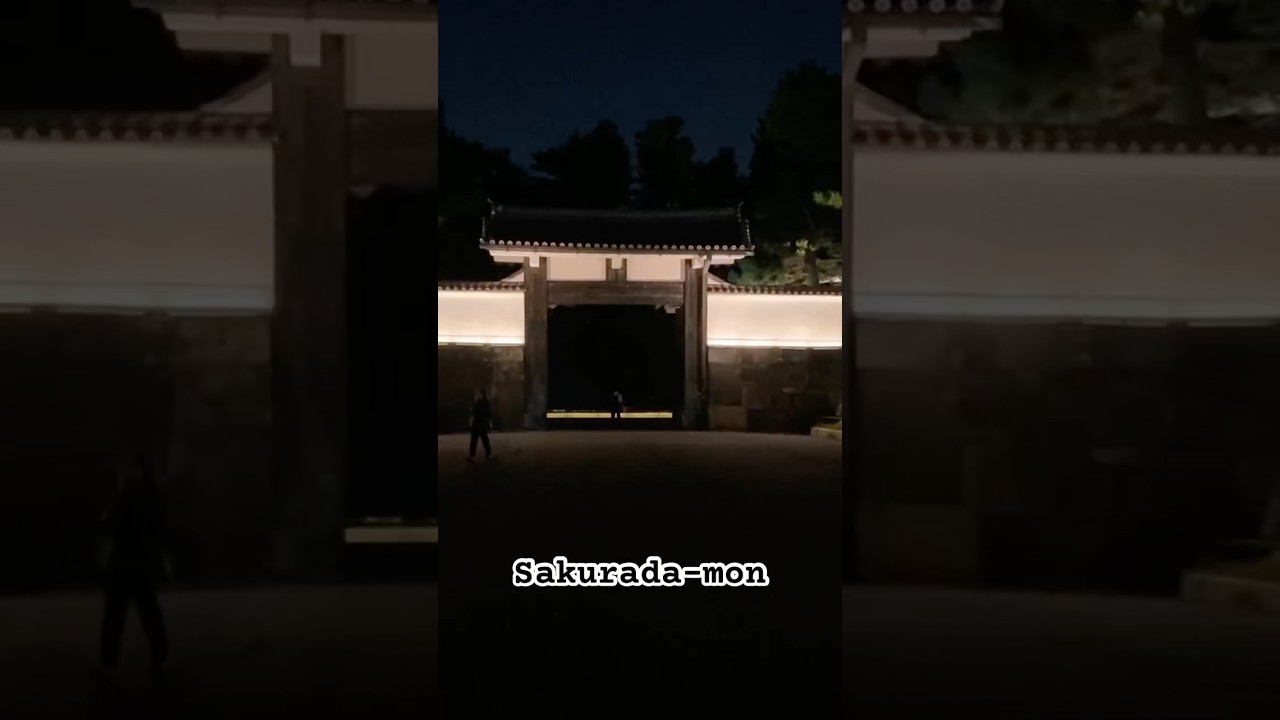 📍Sakurada-mon Night Walk | 