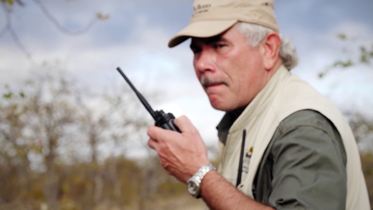 Part 1: Too Many Elephants