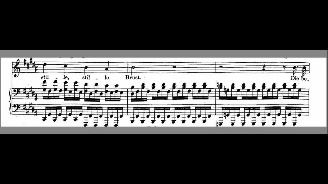 シューベルト「夜と夢D827」を聴く: Taubenpost～歌曲雑感