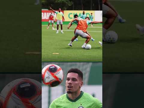 PAULINHO VOLTANDO 🐷🔥