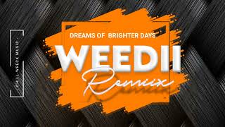 Dreams of Brighter Days - Busy Signal & RC (Weedii Remiix) 2025. 🇻🇺