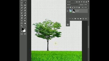 Tree Selection In Photoshop #shorts #photoshop