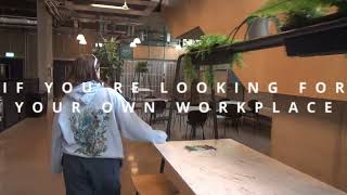 Discover LSA