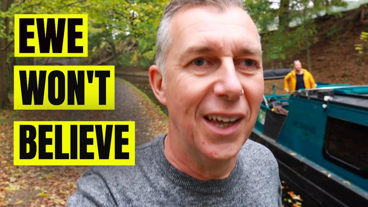 Narrowboat Adventure: Escaping Runaway Sheep!