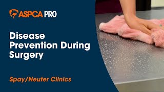 Spayneuter Clinic Disease Prevention During Surgery