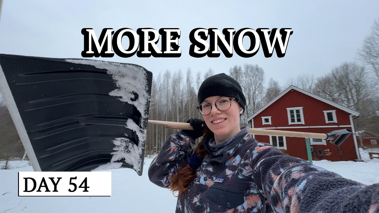 Winter in Sweden Is Testing My Patience - YouTube
