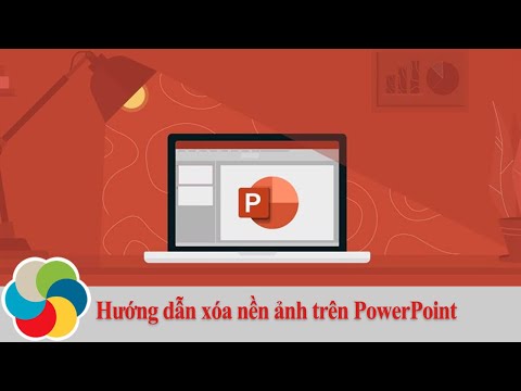 #1 Hướng dẫn xóa nền ảnh trên PowerPoint Mới Nhất