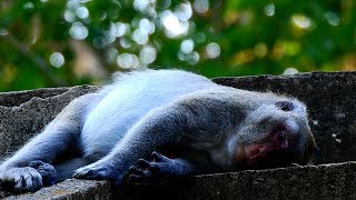 Stay Safe And Give Us So Cute Bb Jane