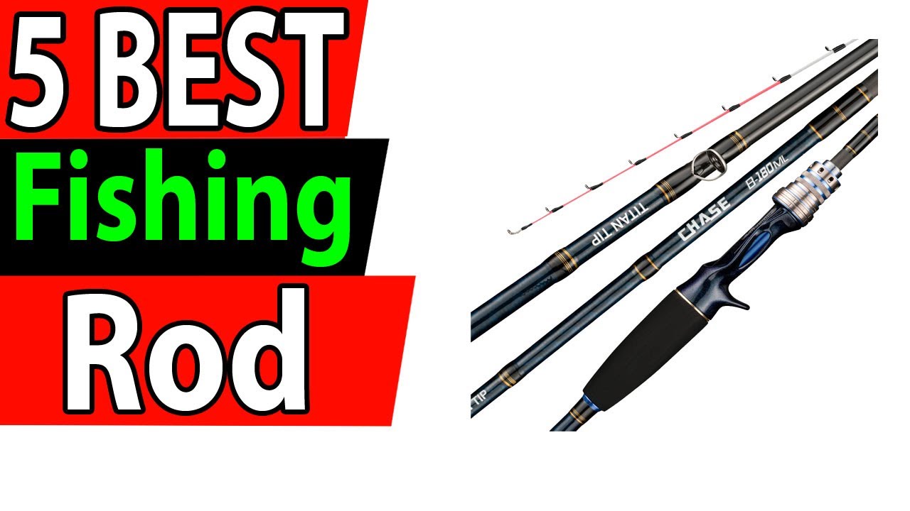 5 Best Fishing Rods Review 2024