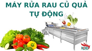 Máy rửa rau củ quả tự động