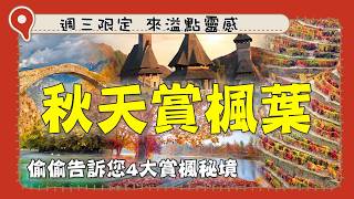 別只去加拿大賞楓！盤點4個意想不到的秋色秘境｜#廖科溢