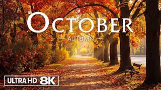 October Autumn 8K 🍁 Stunning Fall Colors, Peaceful Forests & Relaxing Piano