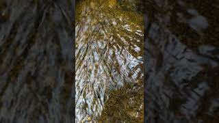 Sliding Stream Over Stone | No Talking, Real Nature #naturalambience#focusbackground#realnature